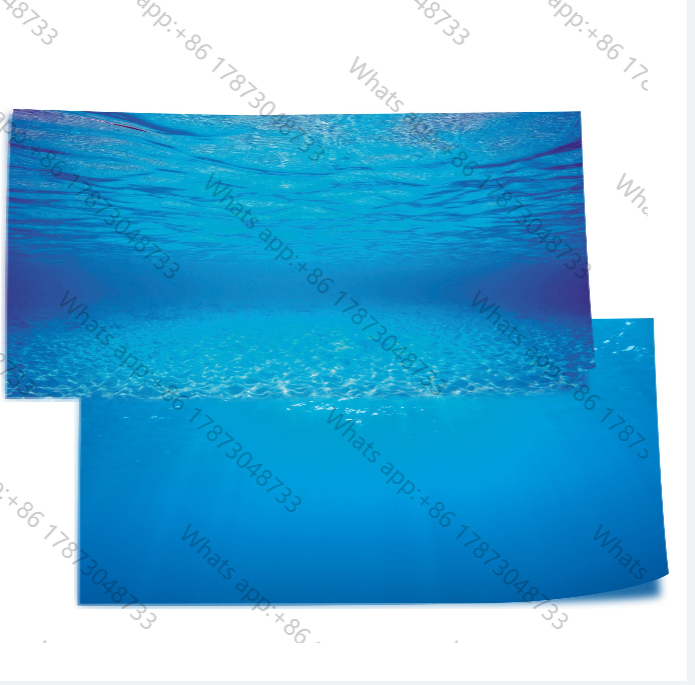 Fish In Aquarium Picture - 1 piece new PVC double sided