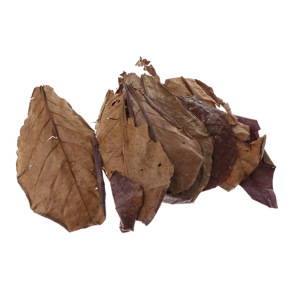 Fish Toy In Aquarium - Fish Aquariums Indian Almond Leaves Brown