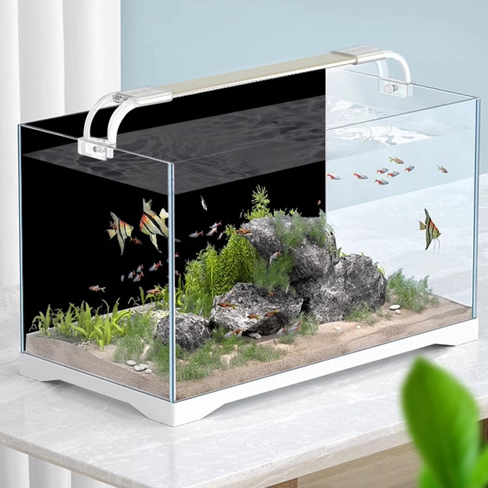 Fish In Aquarium Picture - Static Cling Aquarium Background Backdrop Poster