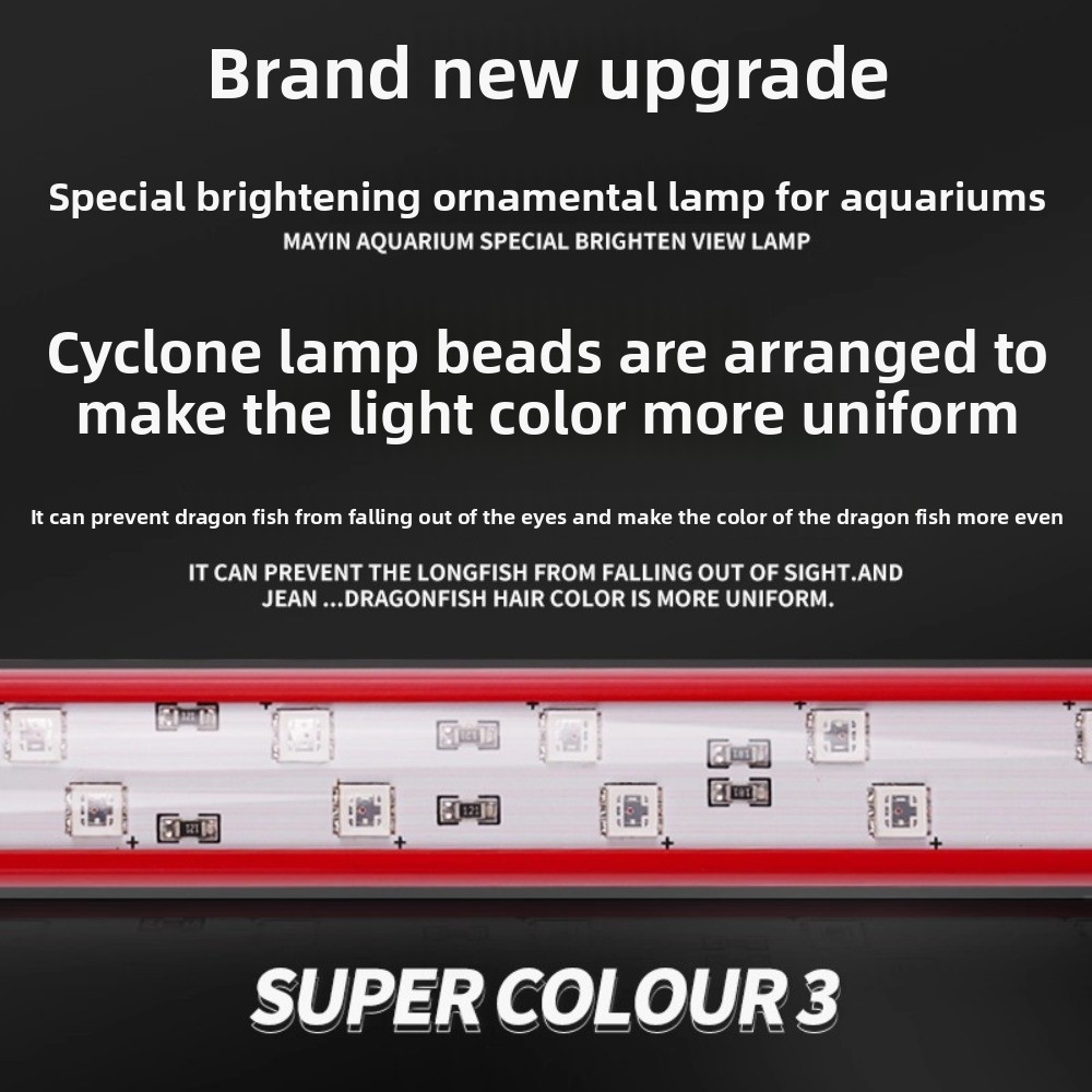 Aquarium Fish Colorful - Hair Color Light Three Primary Colors