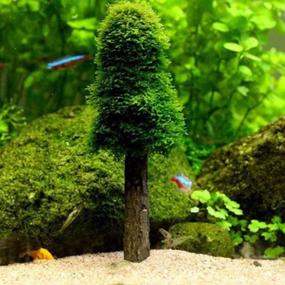 Simulation Christmas Tree Aqua - Aquarium Fish Background recension och pris