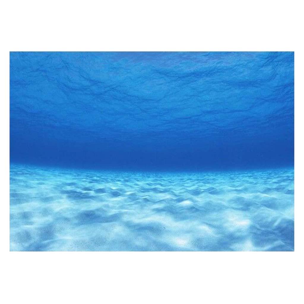 Aquarium Background Fish Tank  - Fish In Aquarium Picture recension och pris