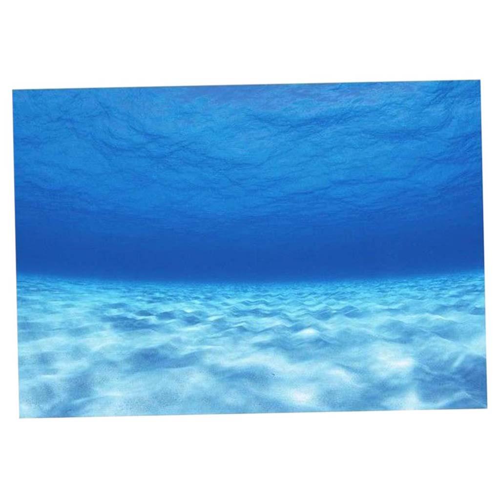 Aquarium Background Fish Tank  - Fish In Aquarium Picture recension och pris