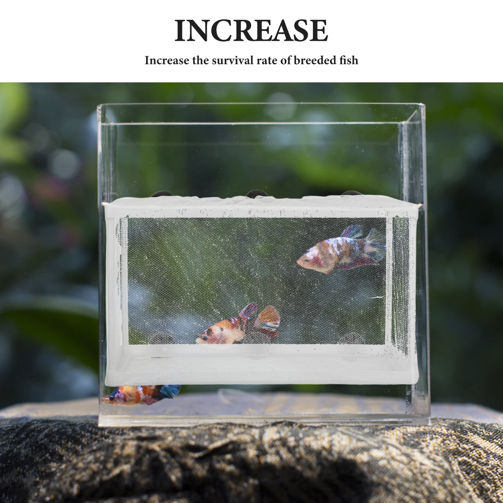 Large Fish Net Hatchery Incuba - Aquarium Fish Rate recension och pris