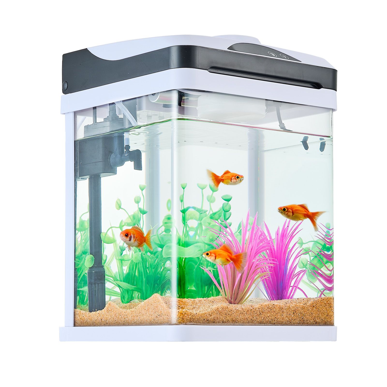 Fish Tank Aquarium, 2 Gallon L - Aquarium Fish Colorful recension och pris