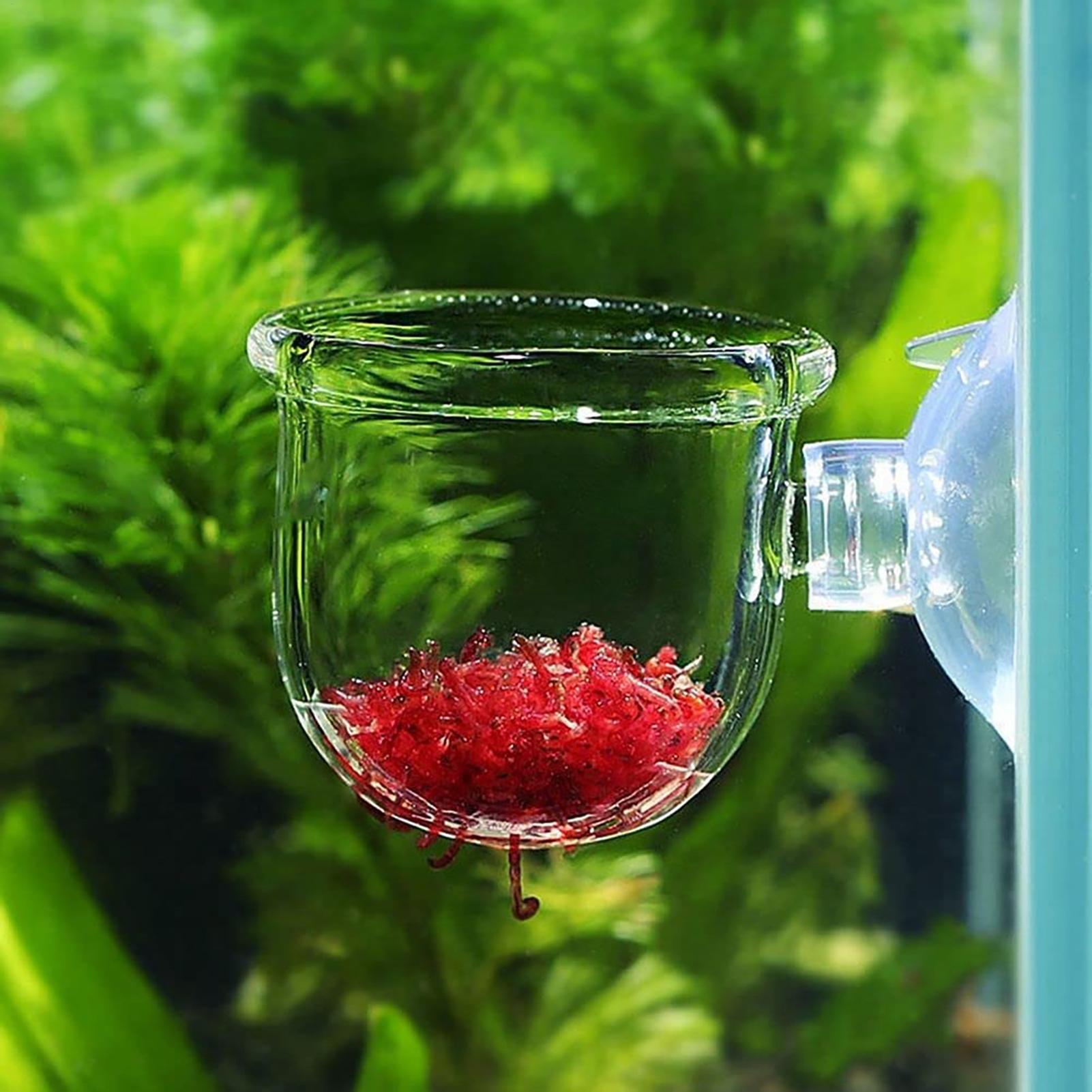 Aquarium Decoration Plant Cup  - Aquarium Fish Beautiful recension och pris