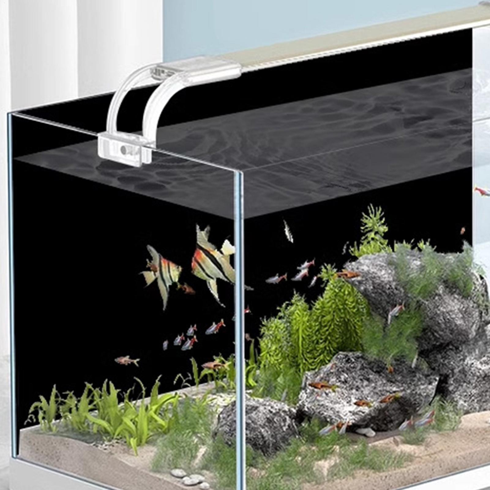 Fish Tank BackgroundSticker Bl - Aquarium Fish Background recension och pris