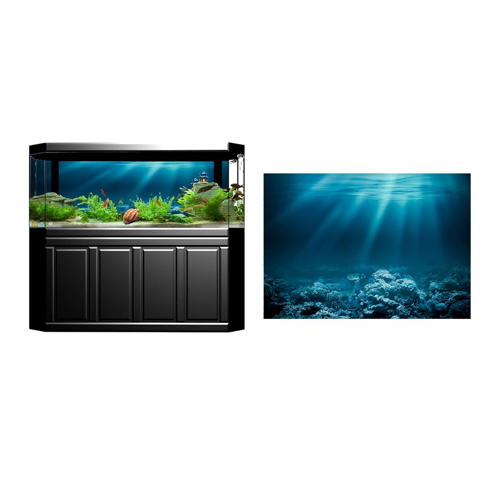 Fish Tank Adhesive Poster PVC  - Fish In Aquarium Picture recension och pris