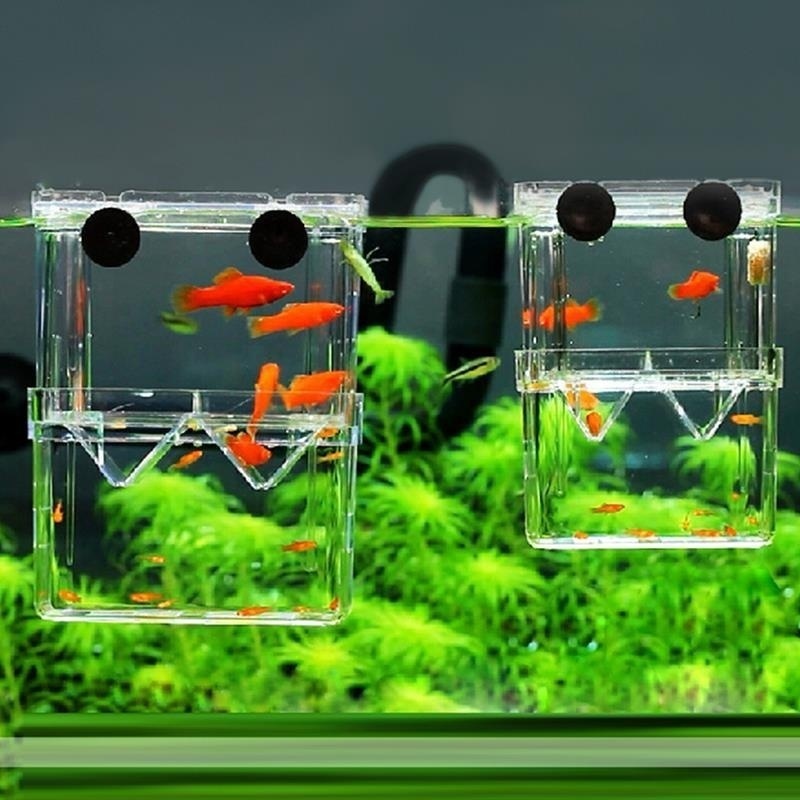 Multifunctional Fish Aquarium  - Aquarium Fish Background recension och pris