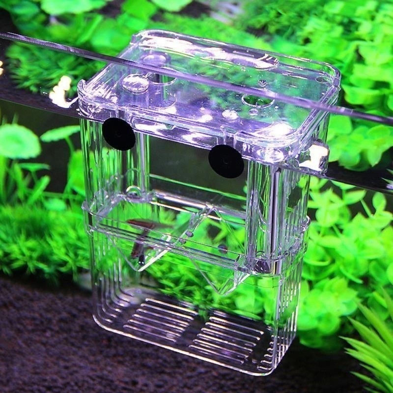 Multifunctional Fish Aquarium  - Aquarium Fish Background recension och pris