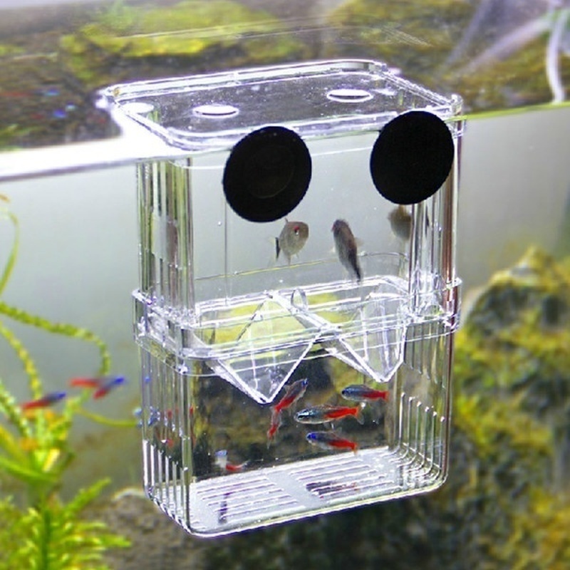 Multifunctional Fish Aquarium  - Aquarium Fish Background recension och pris