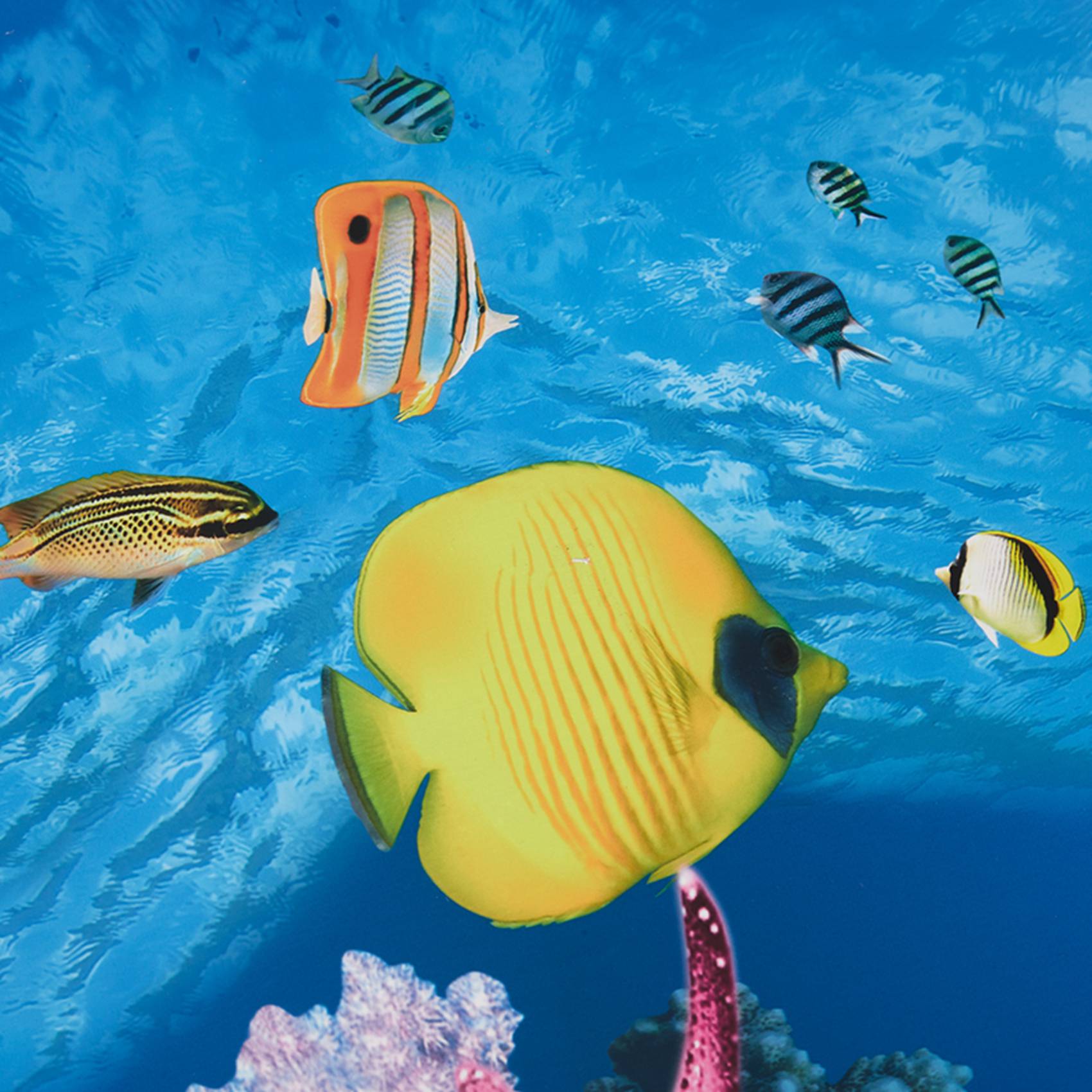 BAAU Aquarium Background Paper - Fish In Aquarium Picture recension och pris