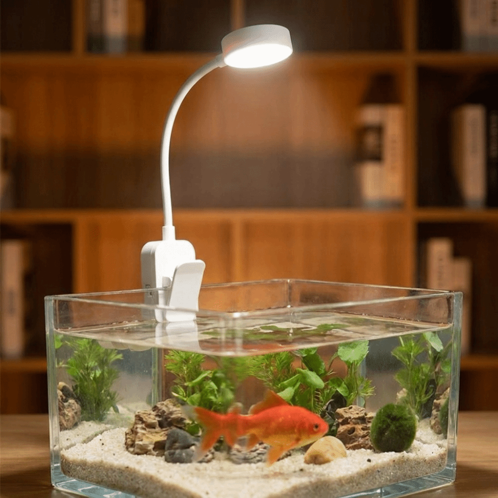 360° Rotatable Fish Tank Clip  - Aquarium Fish Colorful recension och pris