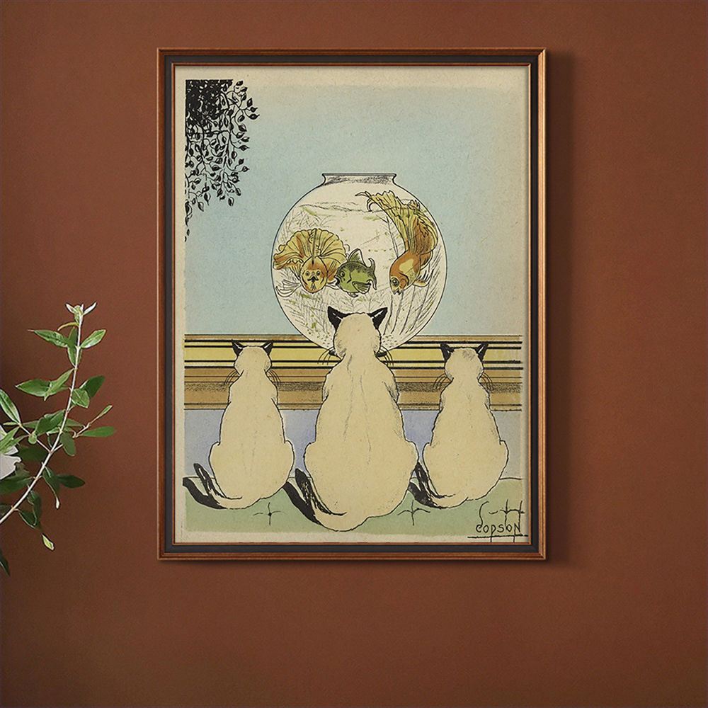 Three Cats Watching Fish In An - Fish In Aquarium Picture recension och pris