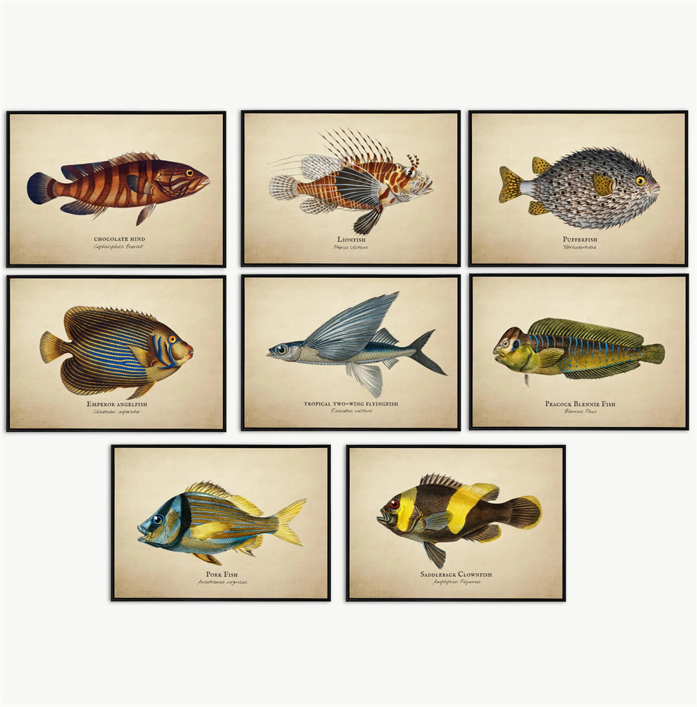 Vintage Pictures Tropical Fish - Fish In Aquarium Picture recension och pris