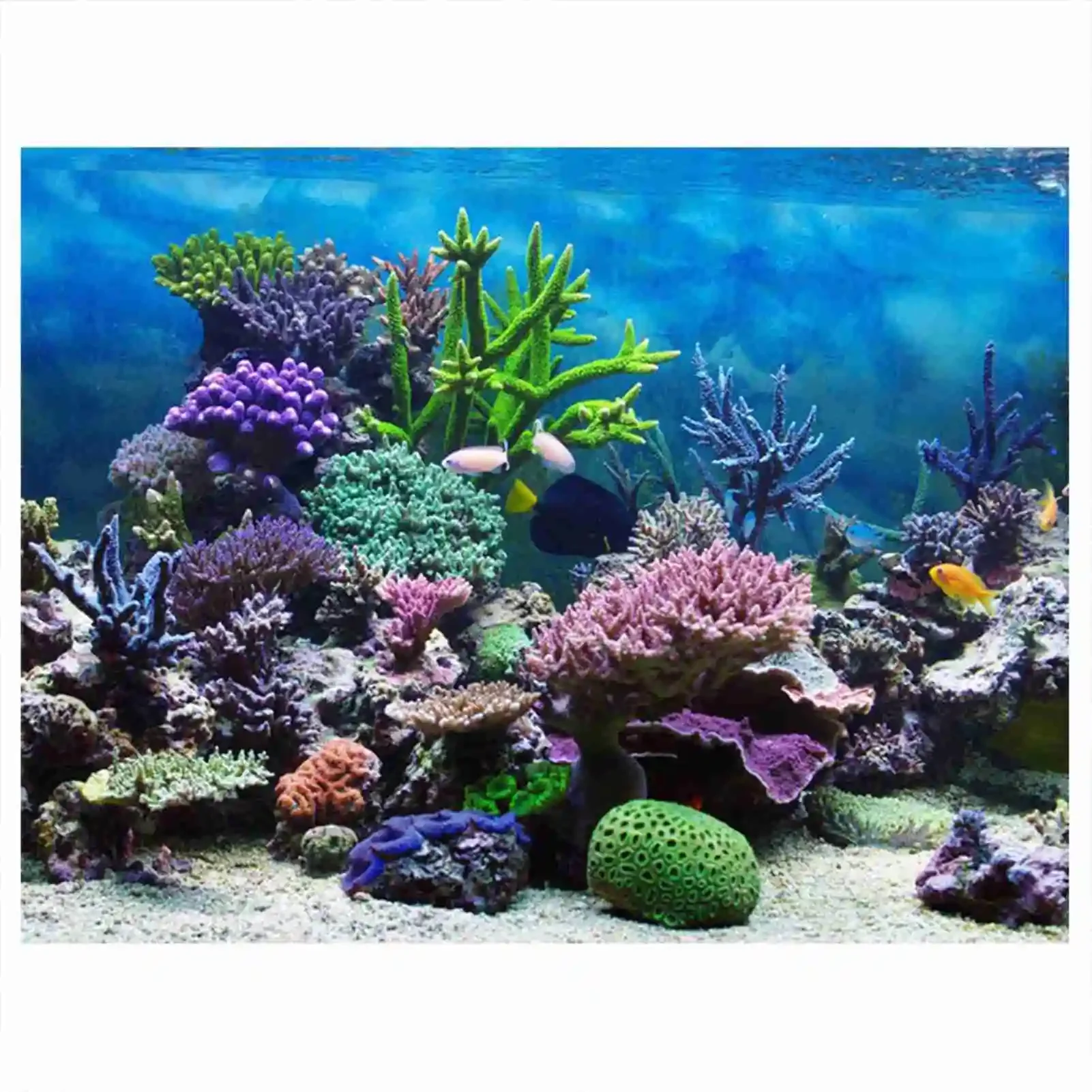 3D Aquarium Landscape Poster R - Aquarium Fish Background recension och pris