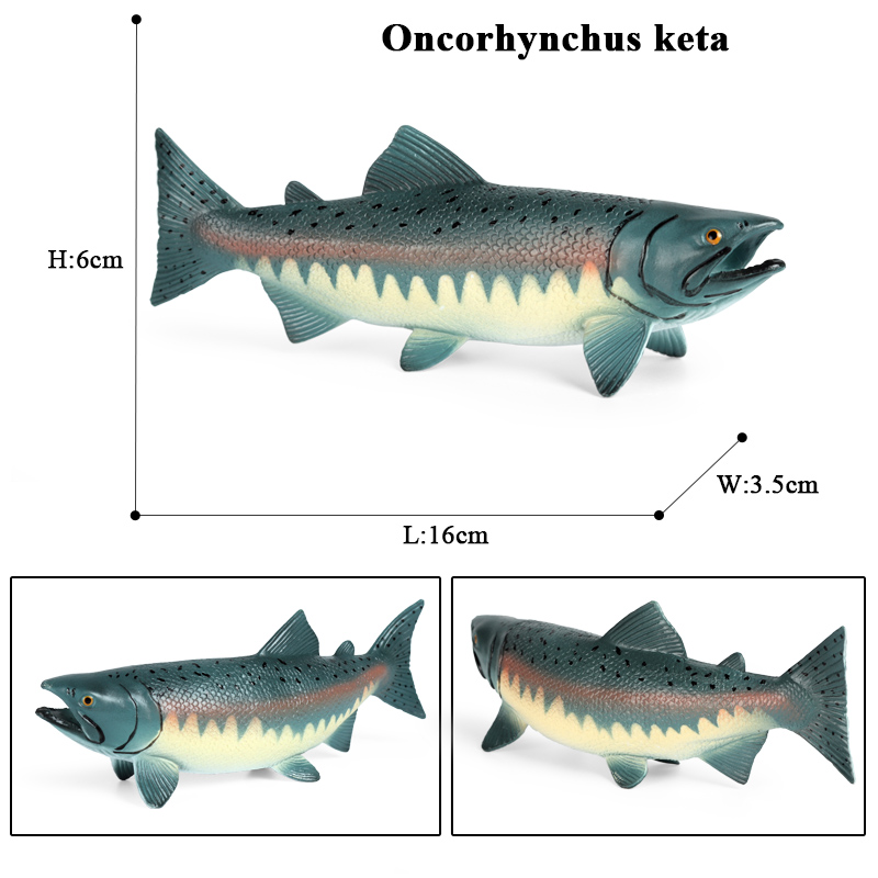 Oenux Sea Life Animals Model A - Fish In Aquarium Picture recension och pris