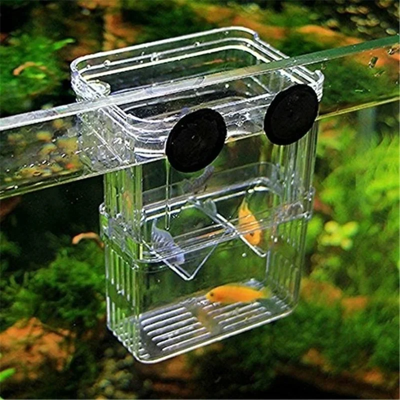 Multifunctional Fish Aquarium  - Aquarium Fish Background recension och pris
