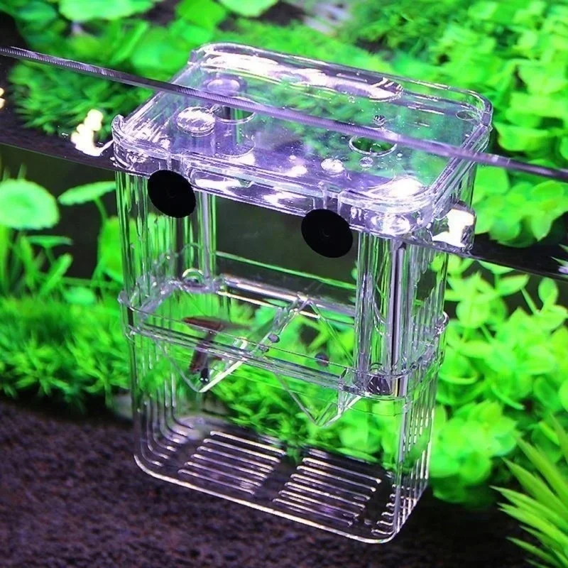 Multifunctional Fish Aquarium  - Aquarium Fish Background recension och pris