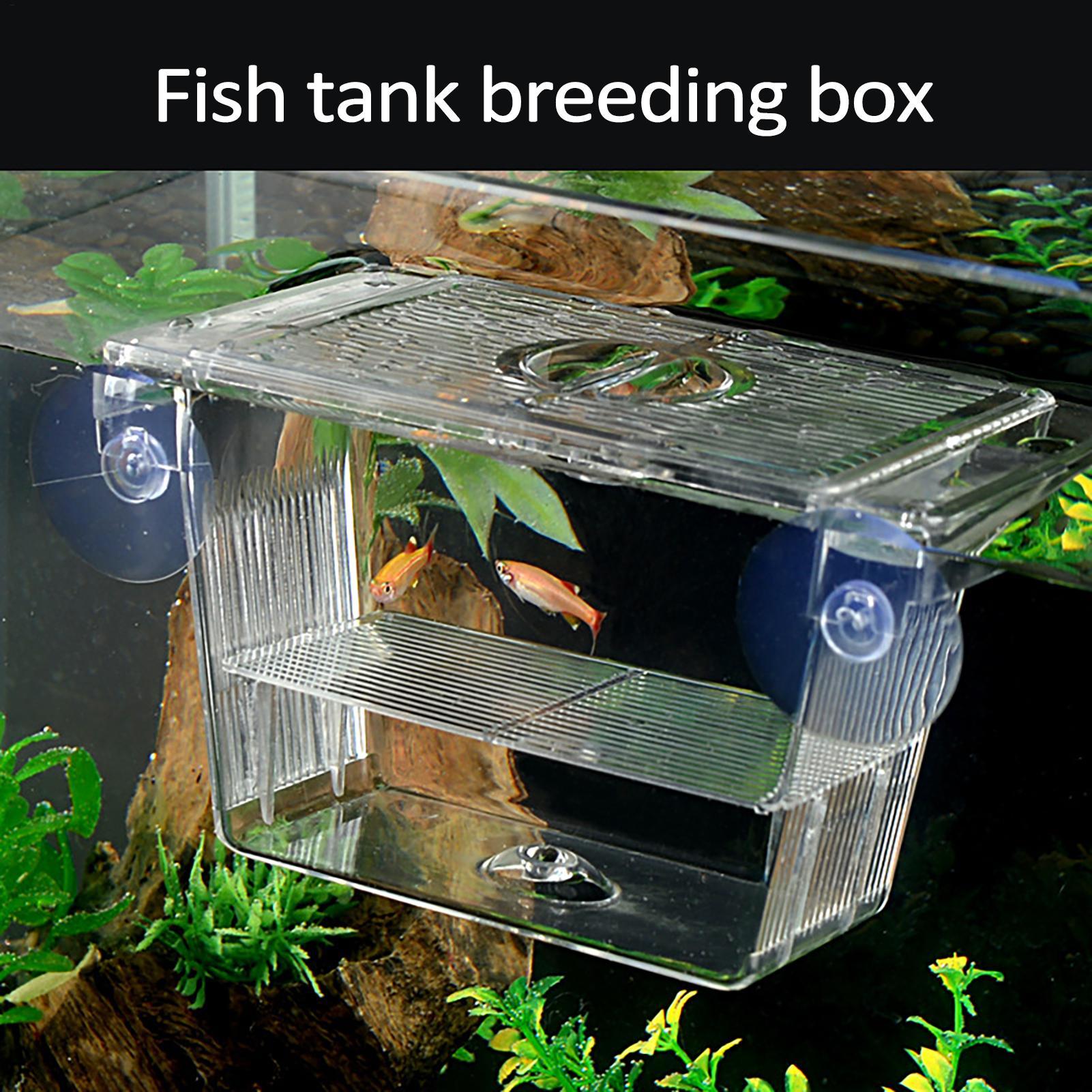 Breeder Box for Fish Tank Tran - Fish Toy In Aquarium recension och pris