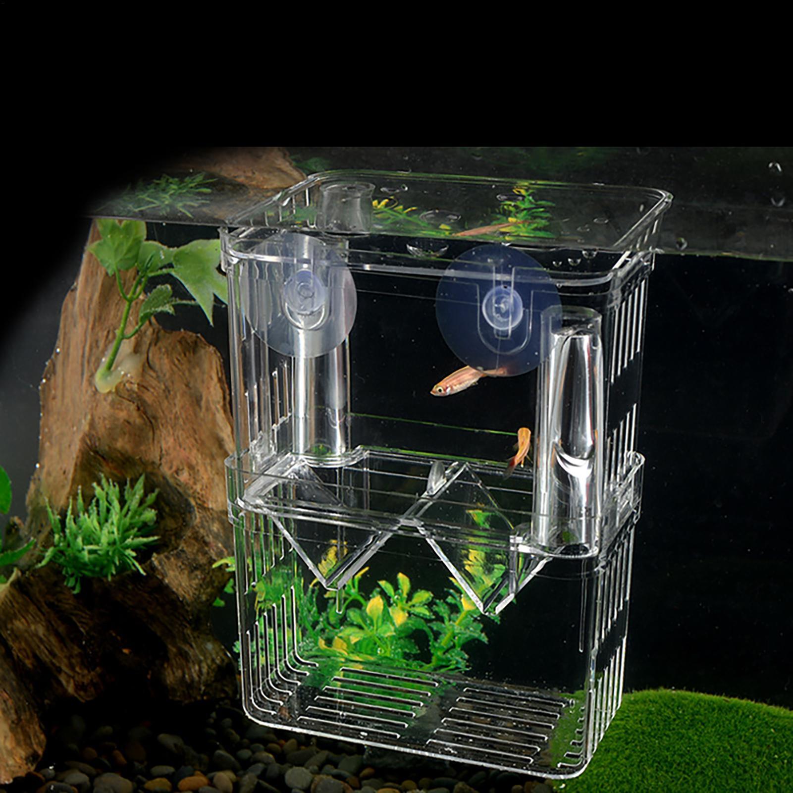 Breeder Box for Fish Tank Tran - Fish Toy In Aquarium recension och pris