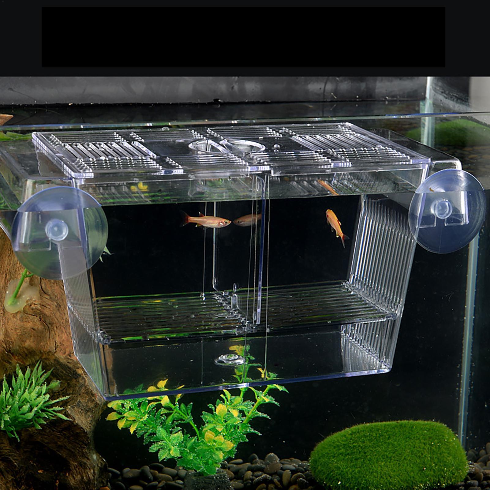Breeder Box for Fish Tank Tran - Fish Toy In Aquarium recension och pris