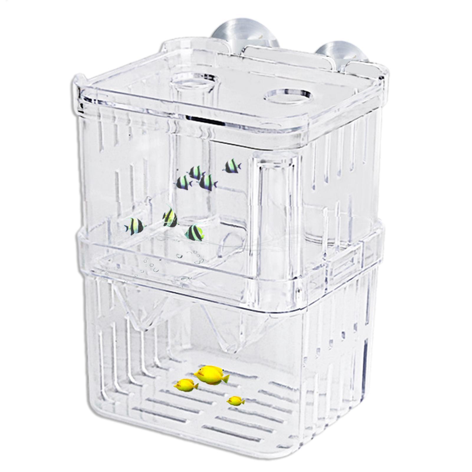 Breeder Box for Fish Tank Tran - Fish Toy In Aquarium recension och pris