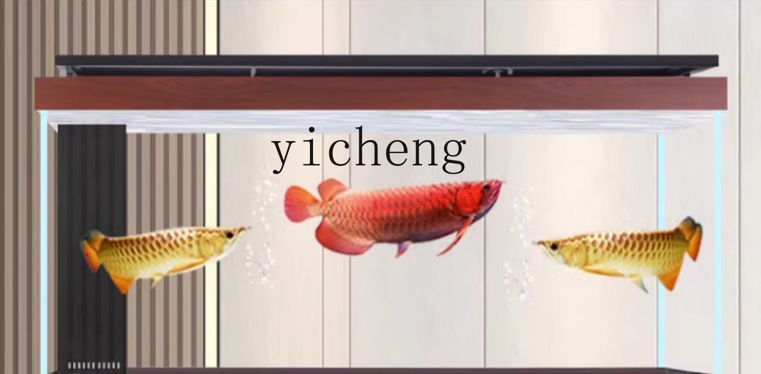 X8  arowana tank aquarium bott - Aquarium Xxl recension och pris