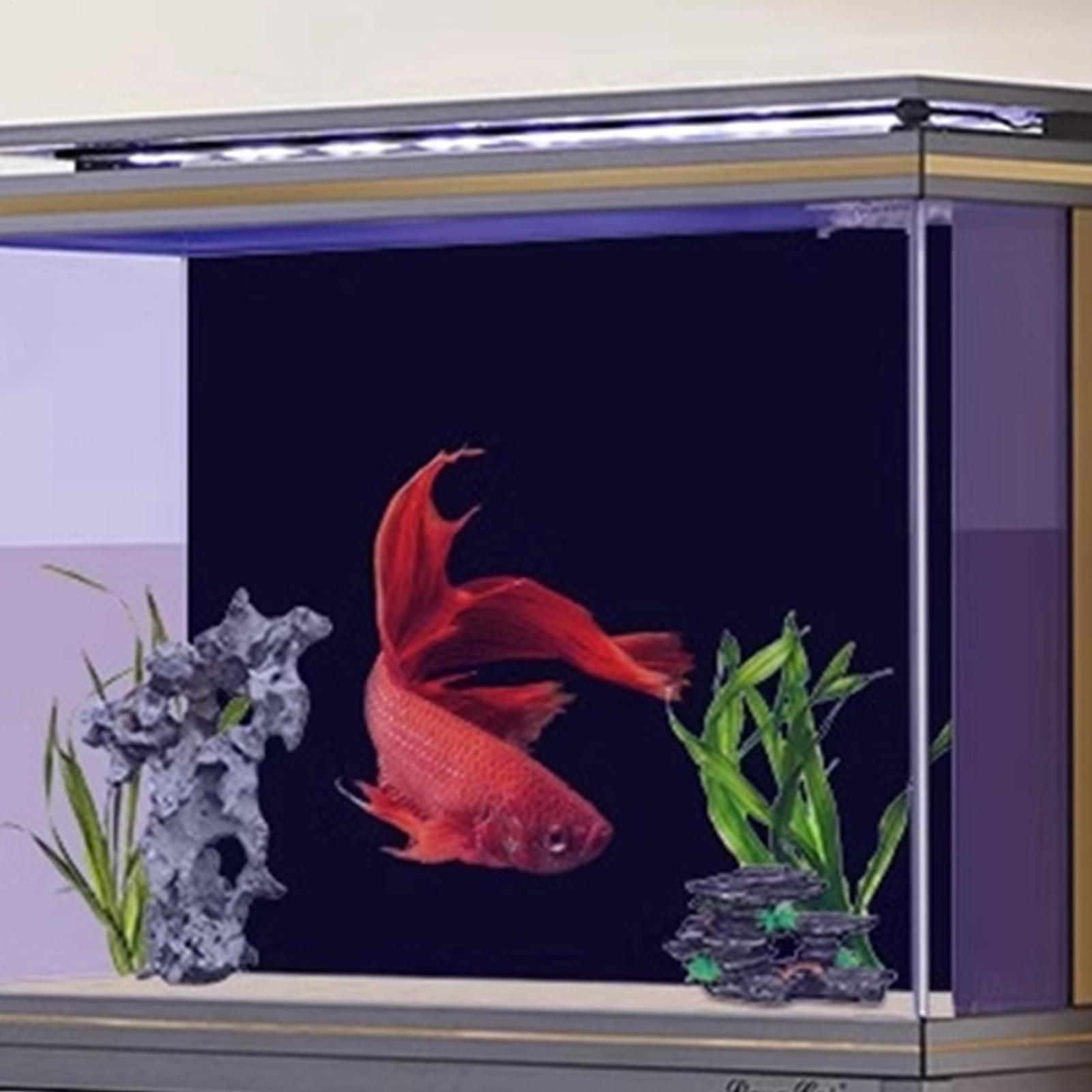 PVC Aquarium Background Remova - Fish In Aquarium Picture recension och pris