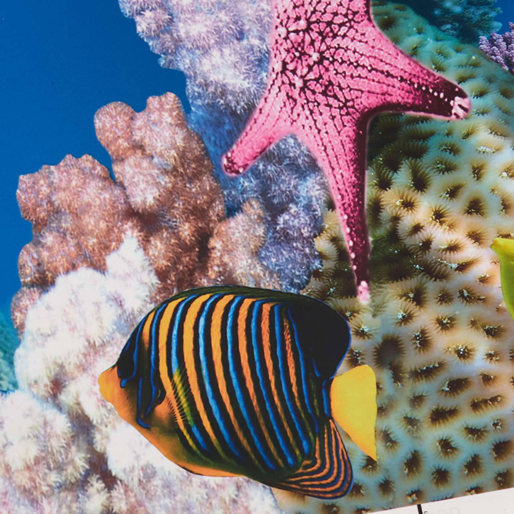 2X Aquarium Background Paper H - Fish In Aquarium Picture recension och pris