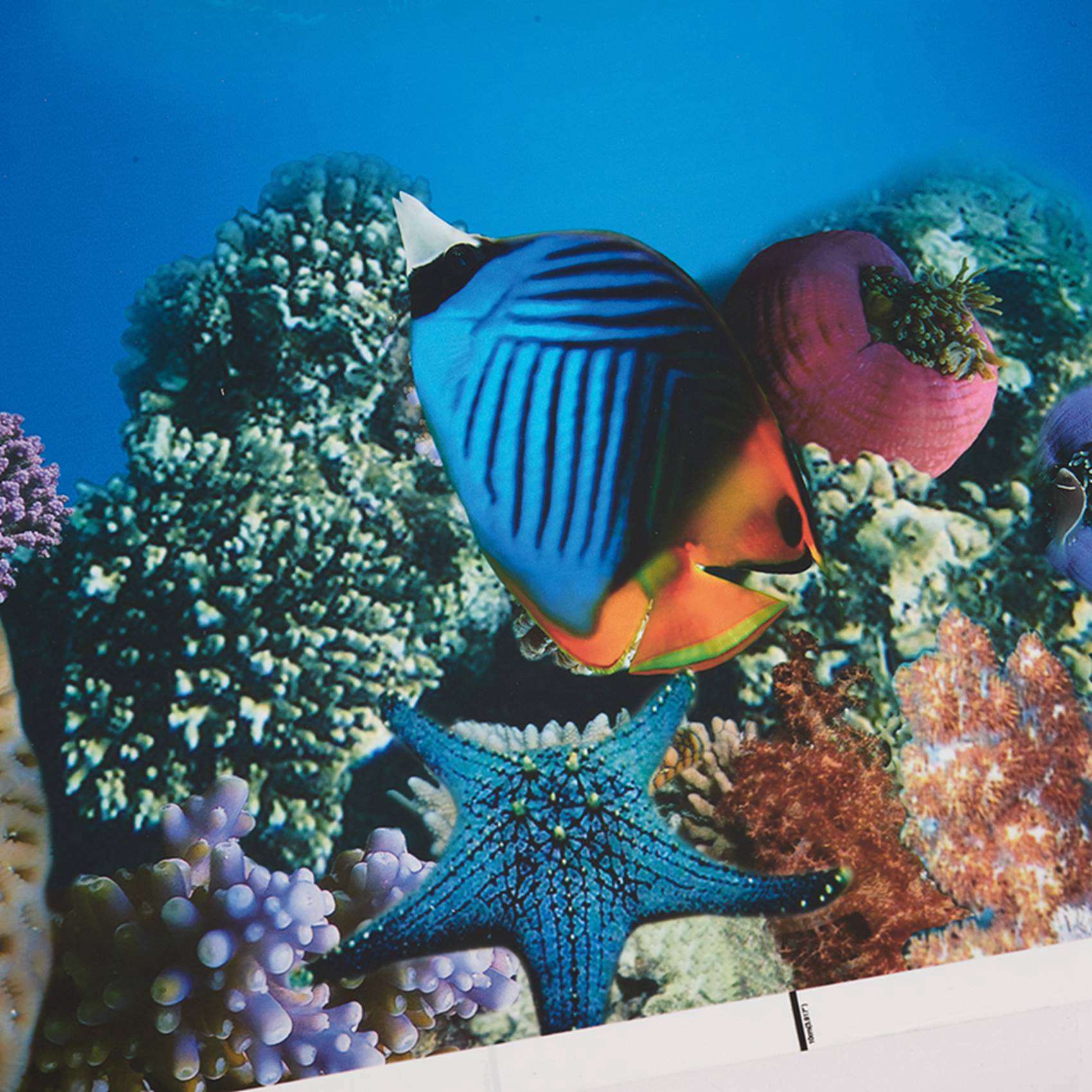 2X Aquarium Background Paper H - Fish In Aquarium Picture recension och pris