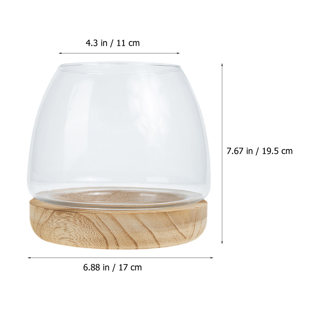 1Set Clear Glass Hydroponic Pl - Aquarium Fish Glass recension och pris