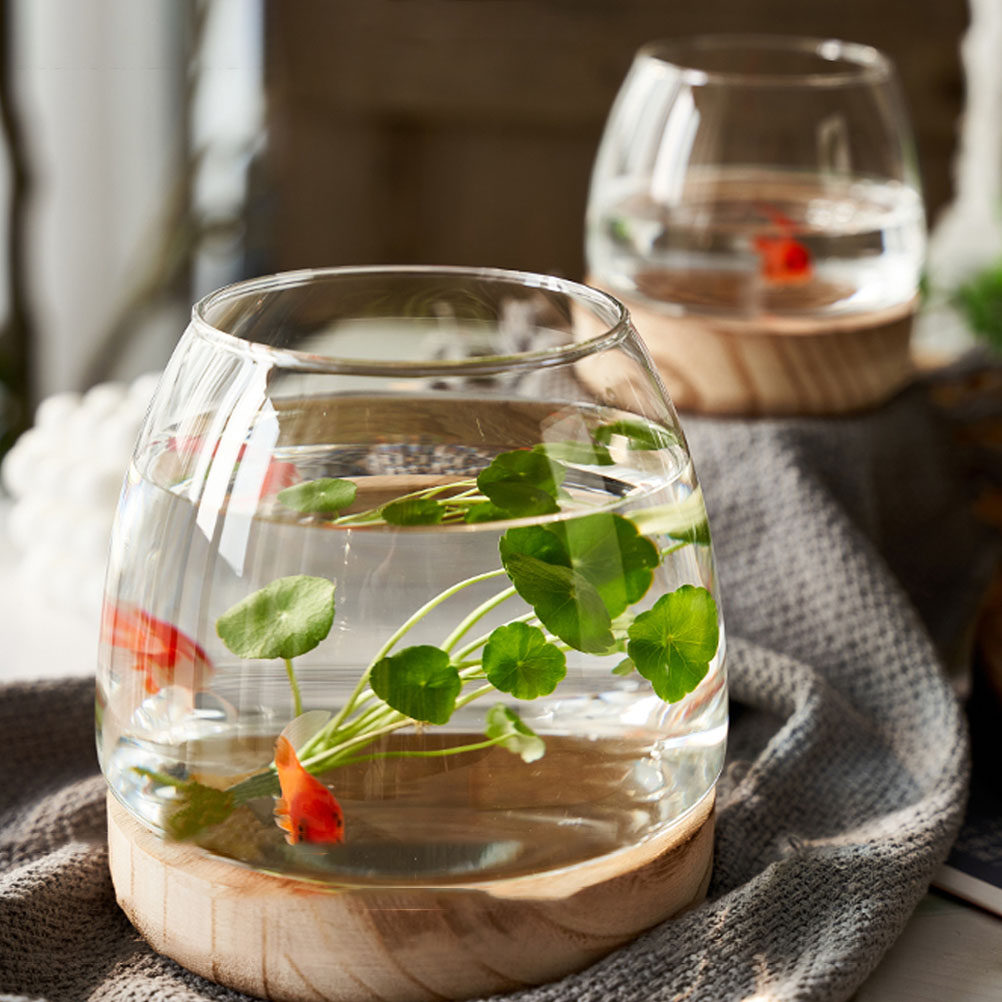 1Set Clear Glass Hydroponic Pl - Aquarium Fish Glass recension och pris